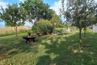 Cottage near river Kolpa, vineyards,top location. - 1