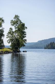 Snibben Höga Kusten - 1