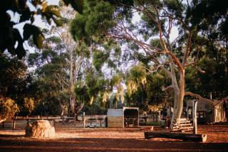 Margaret River Holiday Cottages - Margaret River - 6