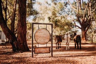 Margaret River Holiday Cottages - Margaret River - 8