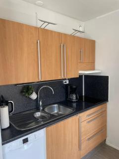 City Apartment Maaherrankatu, ilmainen kadunvarsipysäköinti - Kuopio - 5