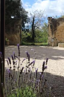 Bastide Juliana - Saint-Paul-Trois-Châteaux - 8
