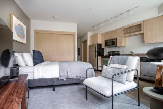 Wallingford studio w pets wd nr 99 I-5 SEA-563 - 9