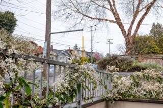 Wallingford studio w pets wd nr 99 I-5 SEA-563 - Seattle - 8