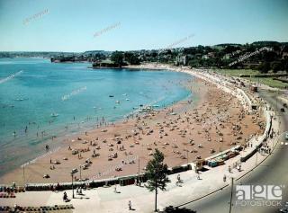 Sandybanks Torquay - Seaview and Promenade Apartments - 6