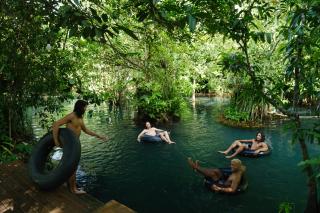 Blu Monkey Pooltara Krabi Hotel & Villas Pet Friendly - 0