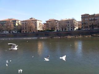 Ai Gabbiani - Verona - 1