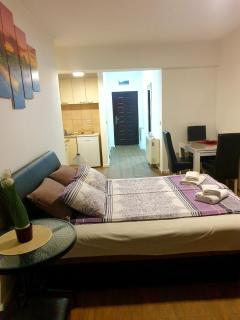 Laguna apartman 2 - Niš - 9