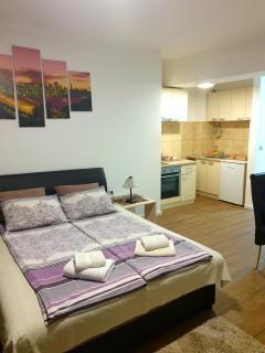Laguna apartman 2 - Niš - 6