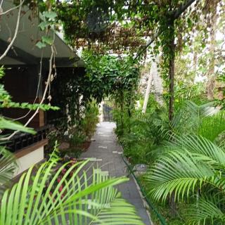 Leaf Garden Retreat - Varkala - 2