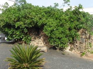 CASA LA TAHONILLA - 8