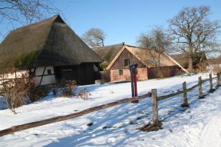 FW Im grünen Weg - Wustrow - 4