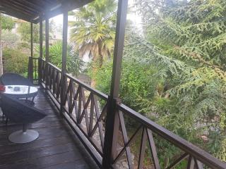 Liakoto - Panayia - 5