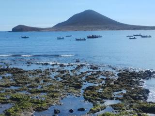 Medano beach - El Médano - 0