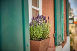 NEU!!! Moselbleibe Uferallee - 7