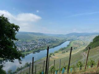 NEU!!! Moselbleibe Winzerhaus Kues - Bernkastel-Kues - 1