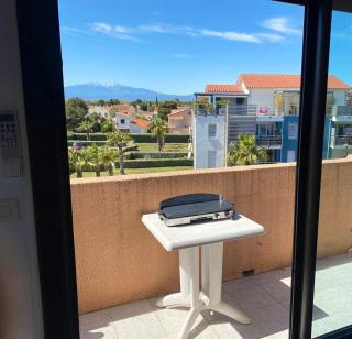 Appartement charmant à Saint-Cyprien Plage - 34 m² + Terrasse - Saint-Cyprien-Plage - 4