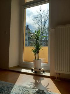Ferienwohnung im Gründerzeitviertel mit Stellplatz - Chemnitz - 2