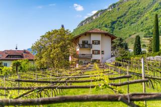 Haus Bellutti - Termeno - 2