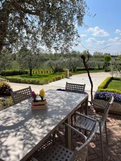 Agricamping Al grappolo diVino - 1