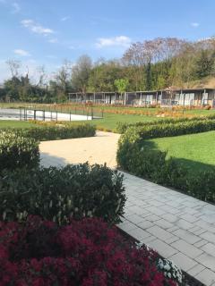 Agricamping Al grappolo diVino - Lazise - 2