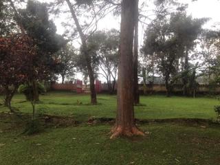Home stay studio 62 Guesthouse - Jinja - 4