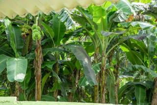 Greenway Apartment - Galle - 5