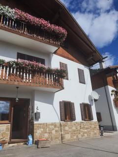 Casa Phoenix Appartamento piano terra immerso nel verde a pochi minuti dalla ciclabile - Pieve di Cadore - 0