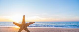 Biloxi Beach Condo-B - Biloxi - 7