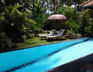 Villa Jati - Private Poolside Villa Central Lovina - Lovina - 2