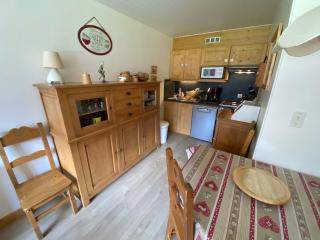 Charmant 2 pièces avec balcon - Multi Pass 3€/jour/personne - FR-1-692-36 - La Chapelle-dʼAbondance - 9