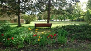 Naramata Centre - Naramata - 1