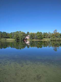 Resort style entire guesthouse-2 rooms - Tottenham - 7