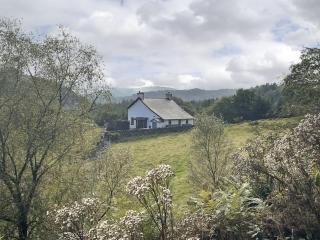 Coed Mawr - 1