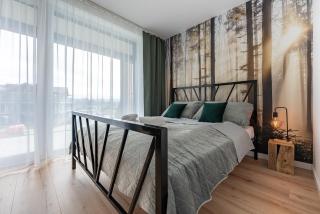 Apartament Mglisty Poranek - Laguna Beskidów - Dream Apart - 6