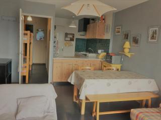 Charmant 2 pièces de 52m², 6 couchages, balcon sud, skis aux pieds à Orcières Merlette - FR-1-636-174 - 7