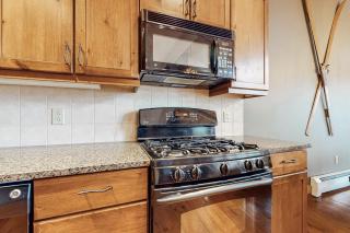 Vermont Mountain Chalet - 1