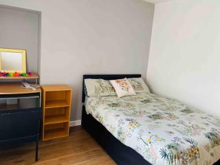 Swansea City Centre - 4 Bed Townhouse - 4