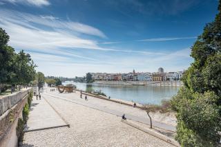 Alohamundi Arjona II - Seville - 3