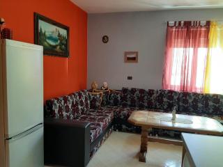 Guesthouse Lula - Tepelenë - 1