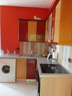 Guesthouse Lula - Tepelenë - 1
