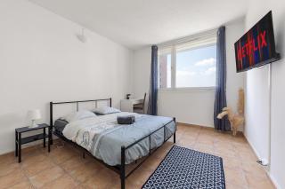 Walon-10Places-Free Parking Gratuit-Zenith Rouen - Saint-Étienne-du-Rouvray - 2