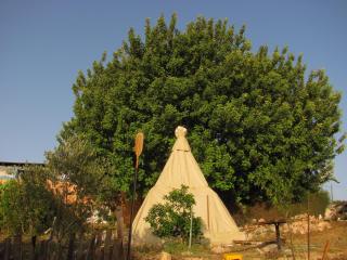 Galilee Bedouin Camplodge - Tabash - 8