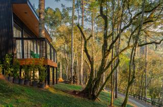 Green Barn Hotel & Bistro - 2