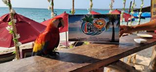 Ecohotelhector - Playa Blanca - 6