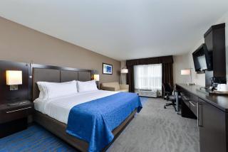 Holiday Inn Express Hotel & Suites St. Louis West-O'Fallon by IHG - O'Fallon - 8