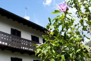 Casa Elisabetta - Ledro - 6