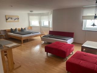 Lissi Apartment nur 5 Min vom Europa Park und direkt am Naturschutzgebiet - Kappel-Grafenhausen - 8