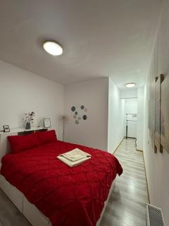 Red Corner Central Apartment - Cluj-Napoca - 4