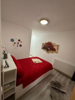 Red Corner Central Apartment - Cluj-Napoca - 9